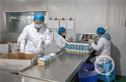 抗疫同心，在渝消毒企业24小时不间断生产酒精与含氯制剂保障供应